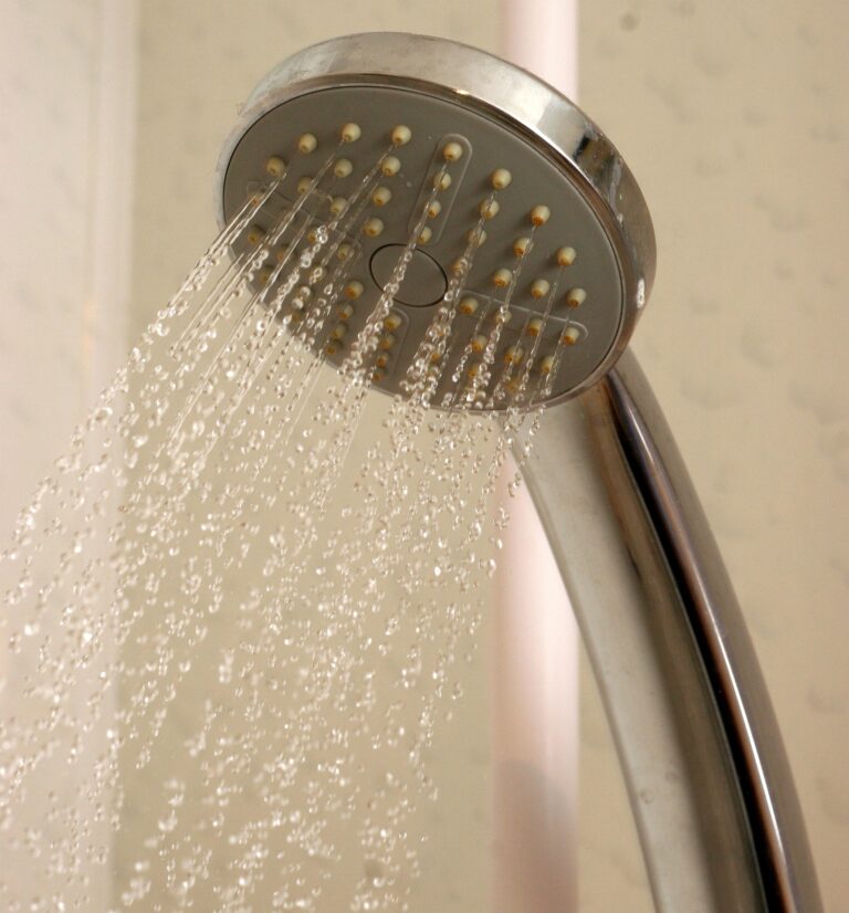 シャワー の 水圧 を 上げる